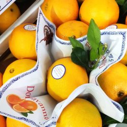 Orangen in Kiste Orangen in Kiste